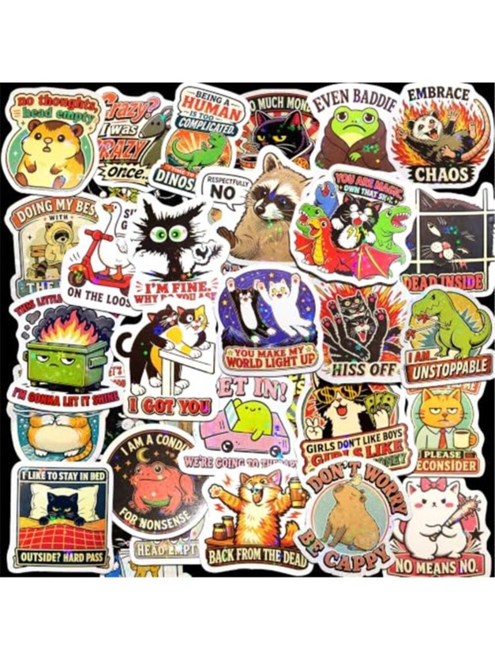 210 PCS Holographic Funny Stickers for Adults, Sarcastic Memes Humor Pack